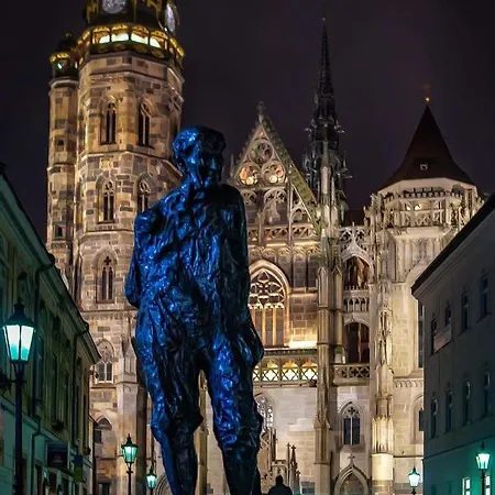 Alžbetina 15 - Dream *